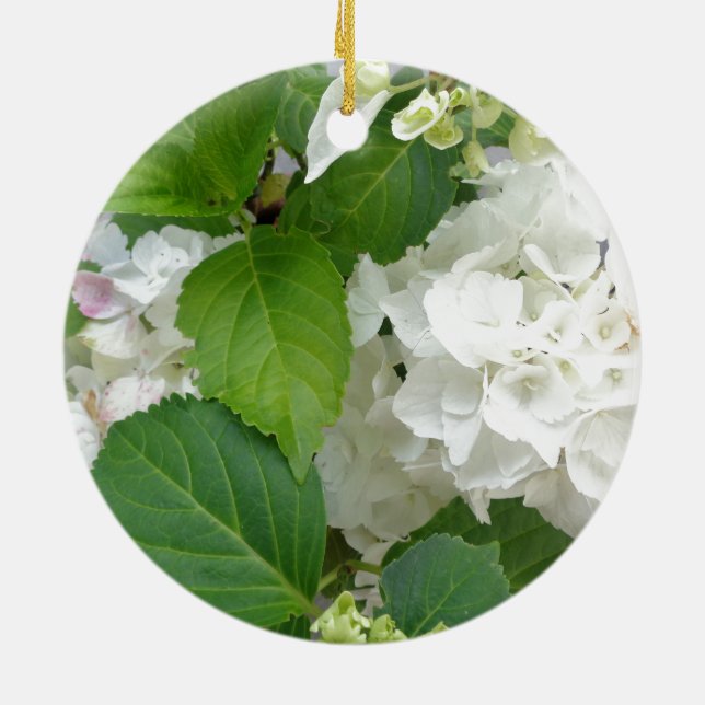 Hydrangea Blume Grüner Garten Pflanze Keramikornament (Hinten)