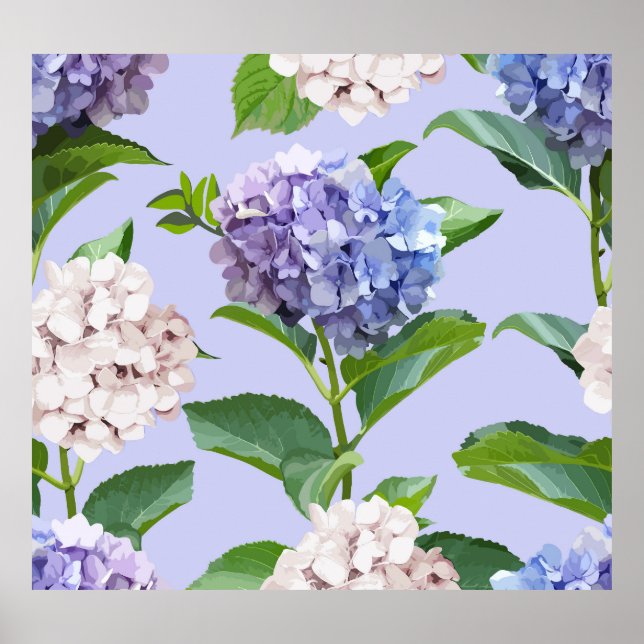 Hydrangea-Blume: mehrfarbige Blumenstruktur. Poster (Vorne)