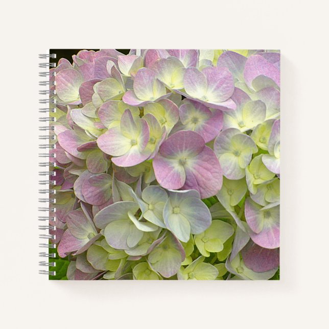 Hydrangea-Blume Notizbuch (Vorderseite)