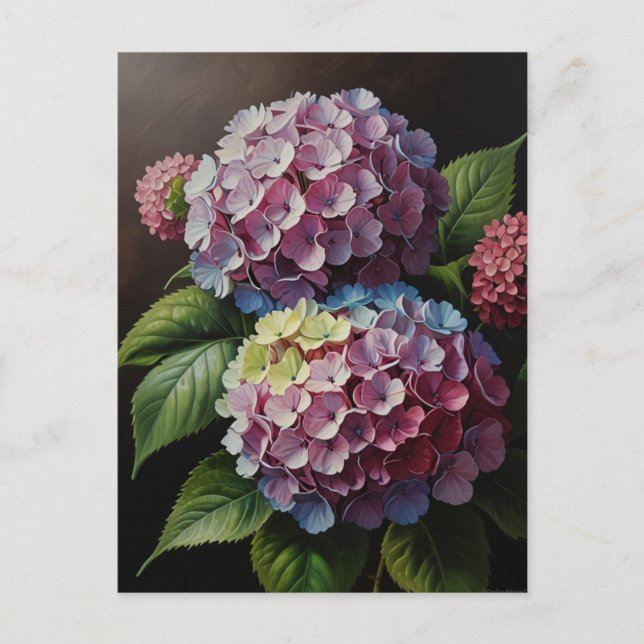Hydrangea-Blume Postkarte (Vorderseite)