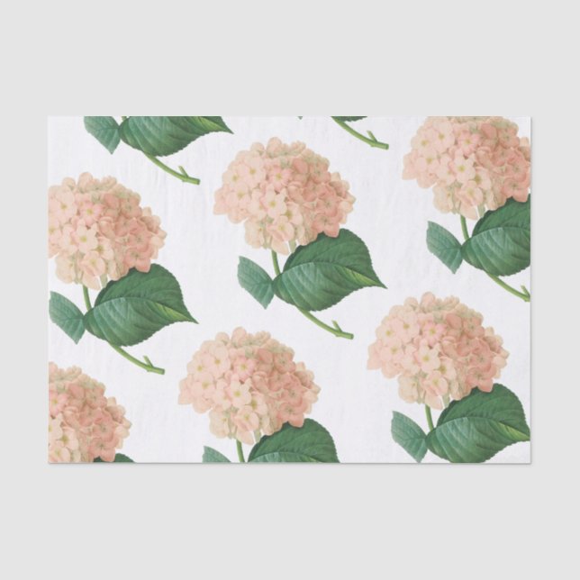 Hydrangea-Blume Seidenpapier (Vorderseite)