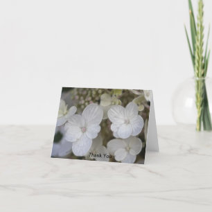 Hydrangea Blume Vielen Dank Dankeskarte