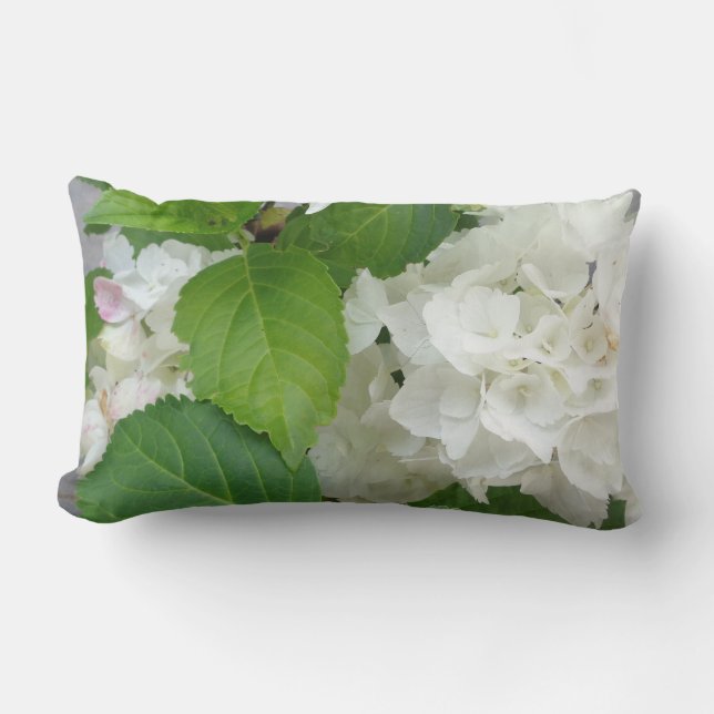 Hydrangea-Blumen-Grün-weiße Natur-Garten-Pflanzen Lendenkissen (Vorderseite)
