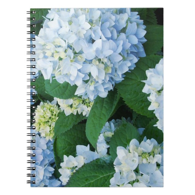 Hydrangea-Blumen-Notizbuch Notizblock (Vorderseite)