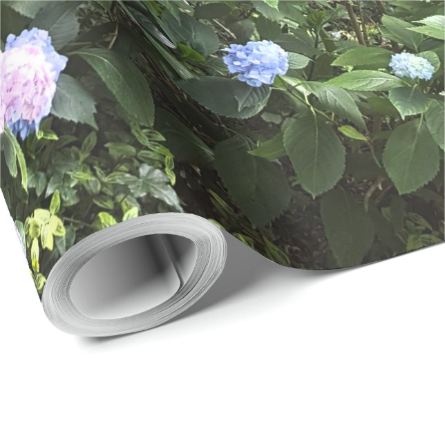 Hydrangea Blumenbäume Naturfotografie Geschenkpapier (Rolleneckpunkt)