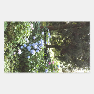 Hydrangea Blumenbäume Naturfotografie Rechteckiger Aufkleber