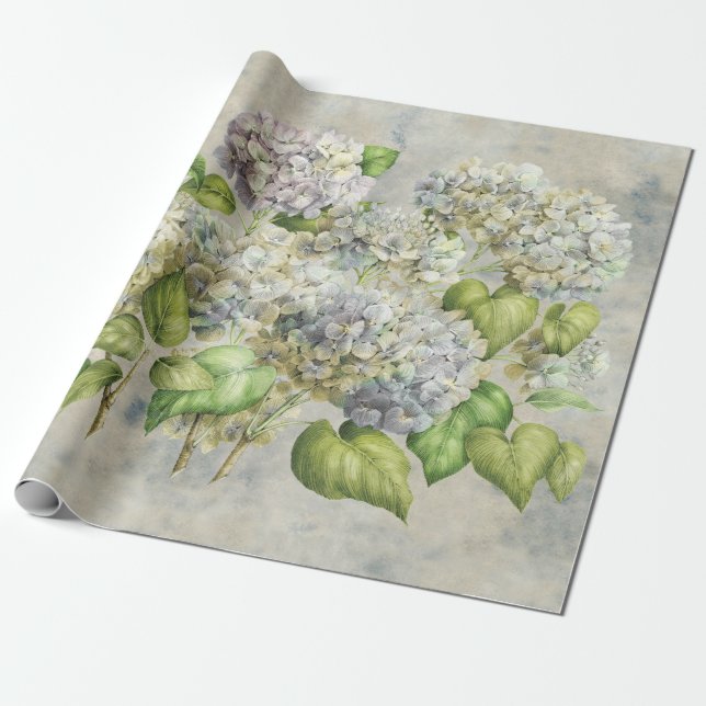 Hydrangea-Blumenlavendel auf grauem Vintagem Geschenkpapier (Ungerollt)