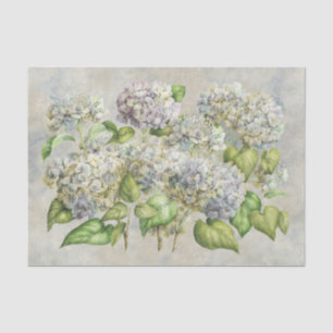 Hydrangea-Blumenlavendel auf grauem Vintagem Seidenpapier
