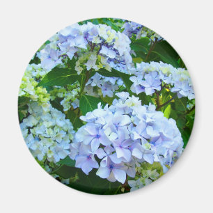 Hydrangea-Blumenmagnetgeschenke Garten blauen Magnet