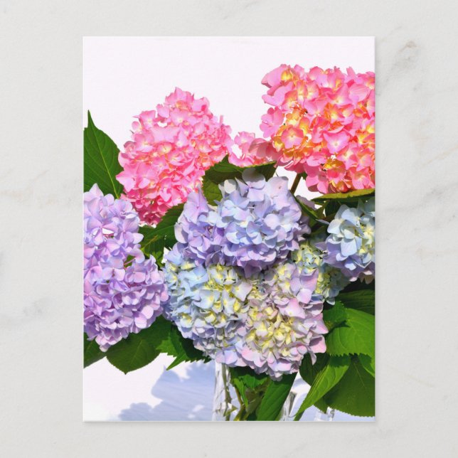 Hydrangea Bouquet Postkarte (Vorderseite)