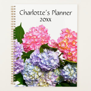 Hydrangea Bouquet, rosa, lila-blaugelbe Blumen Planer