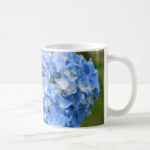 HYDRANGEA COFFEE TASSE