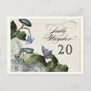 Hydrangea der Morning Glory - Tischsitzanzahl Postkarte