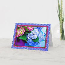 Hydrangea-Farben und Grenzen IV