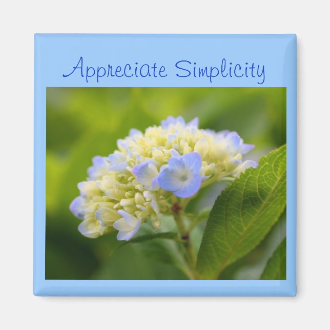 Hydrangea Fleur Inspiration Simplicité Magnet (Devant)