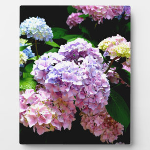 Hydrangea garden, pink, blue, purple floral fotoplatte