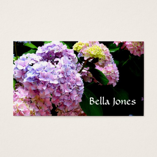 Hydrangea-Garten, rosa, blau, lila Blumen (Vorderseite)