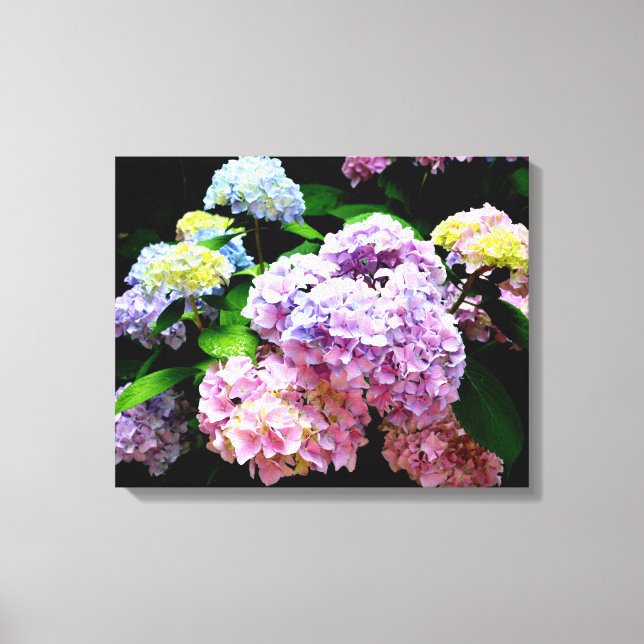 Hydrangea-Garten, rosa, blau, lila Blumen Leinwanddruck (Vorderseite)