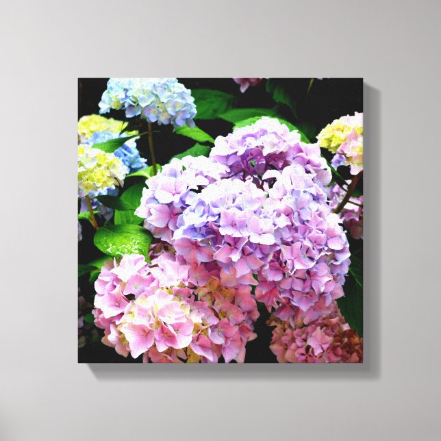 Hydrangea-Garten, rosa, blau, lila Blumen Leinwanddruck (Vorderseite)