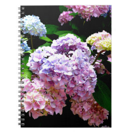 Hydrangea-Garten, rosa, blau, lila Blumen Notizblock