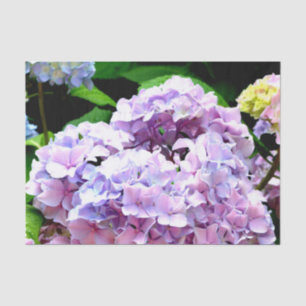 Hydrangea-Garten, rosa, blau, lila Blumen Seidenpapier