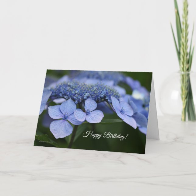 Hydrangea-Geburtstagskarte Karte (Vorderseite)