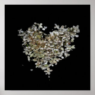 Hydrangea Herz Botanisches Poster