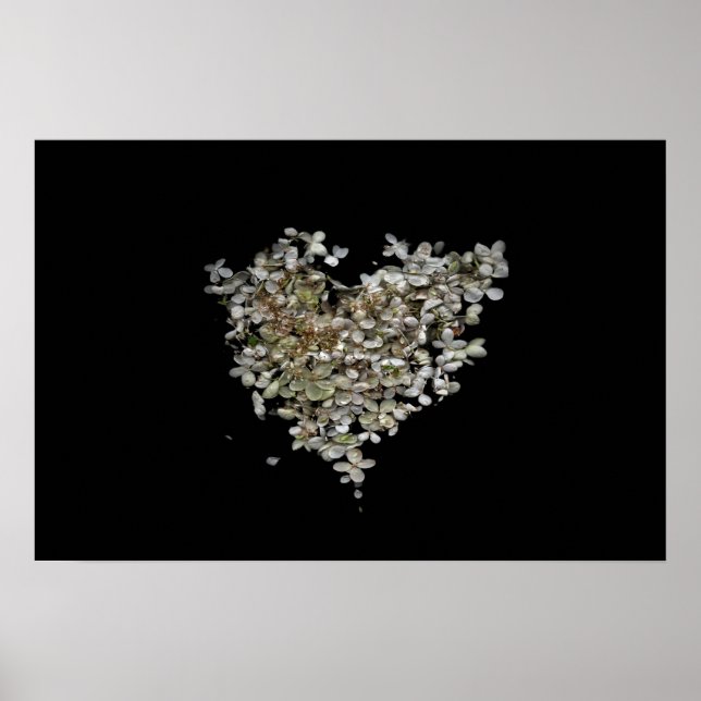 Hydrangea Herz Botanisches Poster (Vorne)