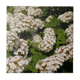 Hydrangea-Keramik Fliese