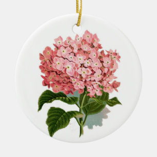 Hydrangea Keramikornament