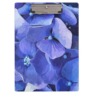 HYDRANGEA KLEMMBRETT