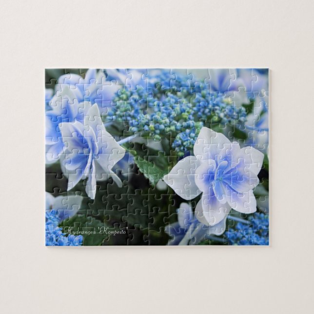 Hydrangea "Konpeito" [Jigsaw puzzle: 110P] (Horizontal)