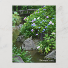 Hydrangea-Landschaft:Postkarte Postkarte