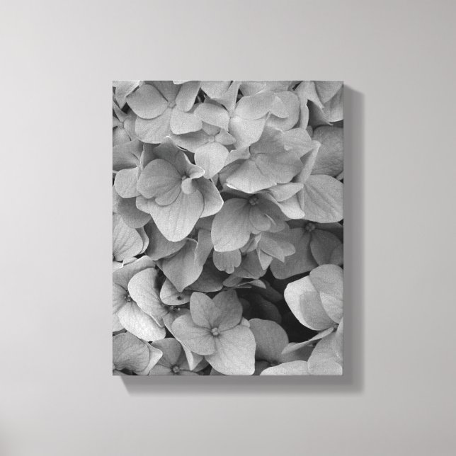 Hydrangea Leinwanddruck (Vorderseite)