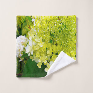 Hydrangea Limelight Vert Chartreuse Élégant