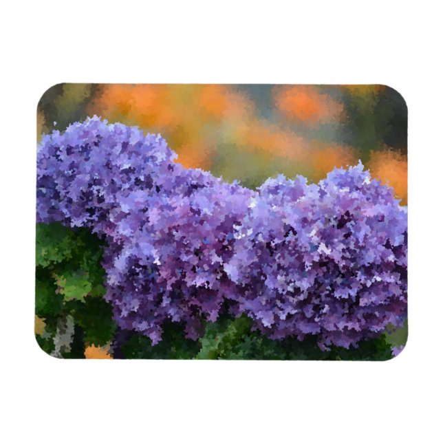Hydrangea Magnet (Horizontal)