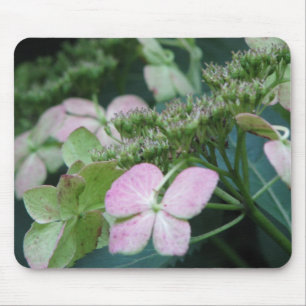 Hydrangea Mousepad