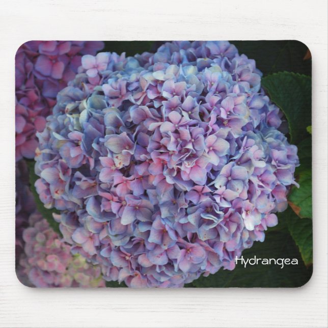 Hydrangea Mousepad (Vorne)