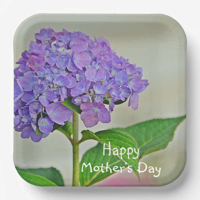 Hydrangea Muttertag Pappteller (Vorderseite)