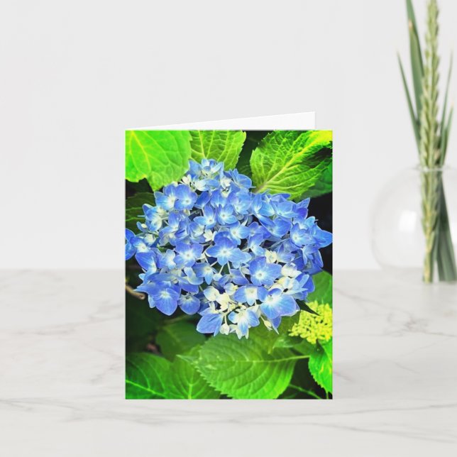 Hydrangea Note Card (Vorderseite)