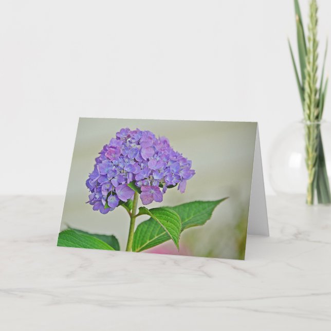 Hydrangea Note Card Karte (Vorderseite)