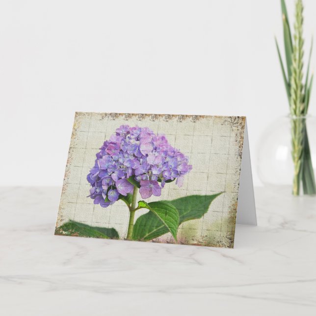 Hydrangea Notecard Karte (Vorderseite)