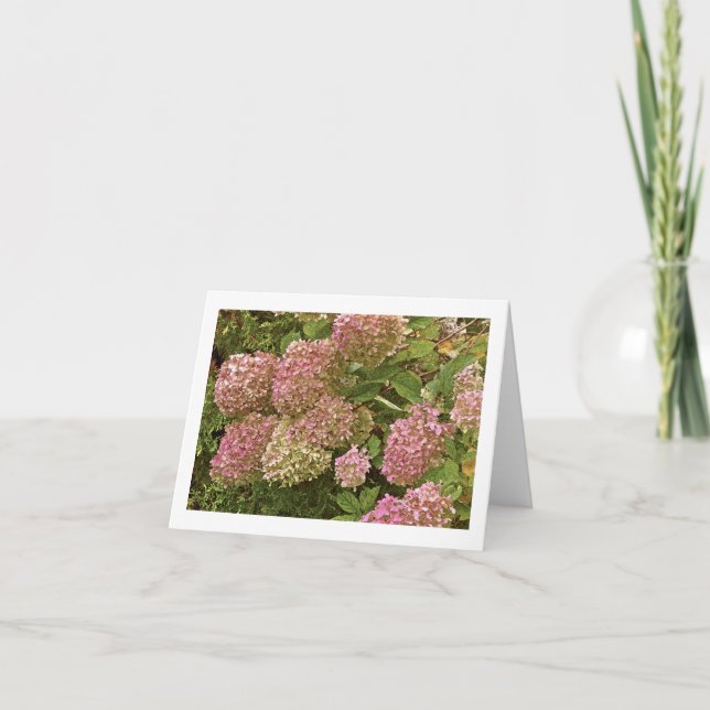 "HYDRANGEA" NOTECARD KARTE (Vorderseite)