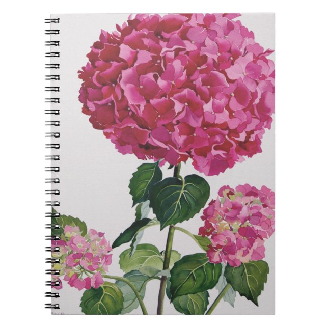 Hydrangea Notizblock (Vorderseite)