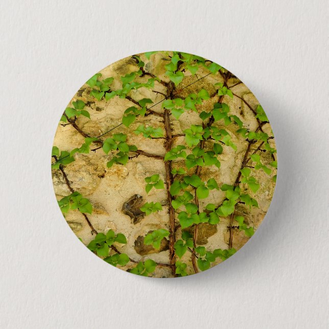 Hydrangea petiolaris Abzeichen Button (Vorderseite)