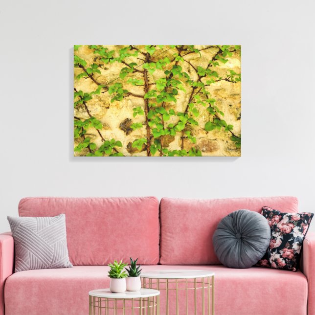 Hydrangea petiolaris leinwanddruck (Insitu (Wohnzimmer))