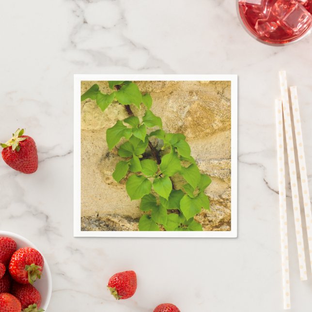 Hydrangea petiolaris Paper Napkins Serviette (Beispiel)