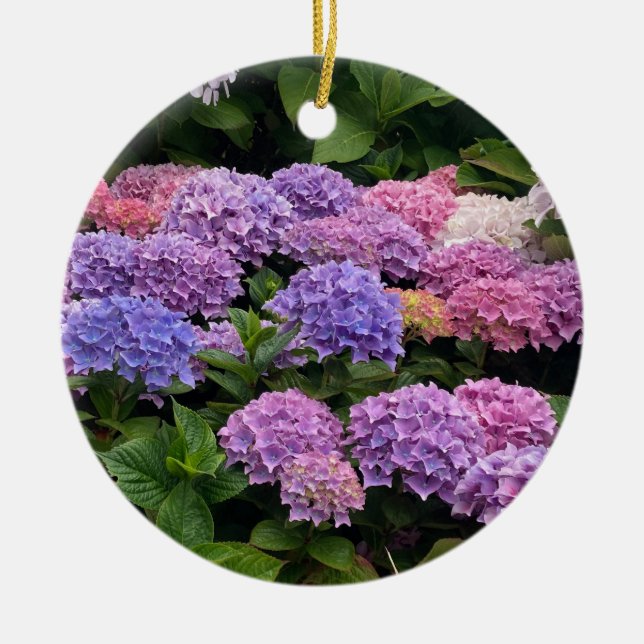 Hydrangea Photograph Keramik Ornament (Vorne)