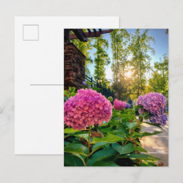 Hydrangea Postcard! Postkarte