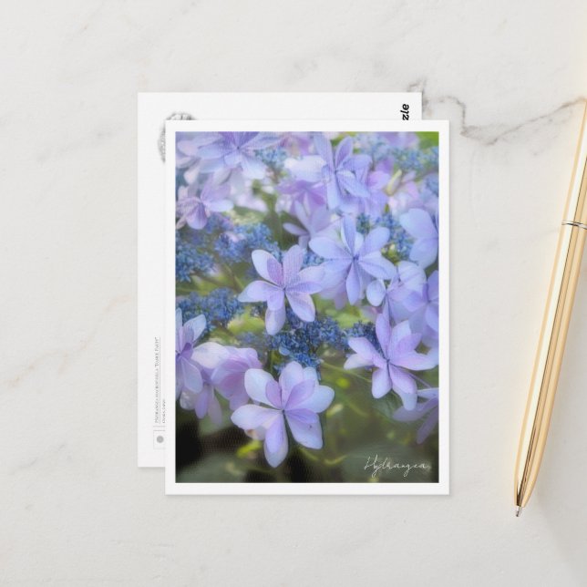 Hydrangea Postkarte (Vorderseite/Rückseite Beispiel)